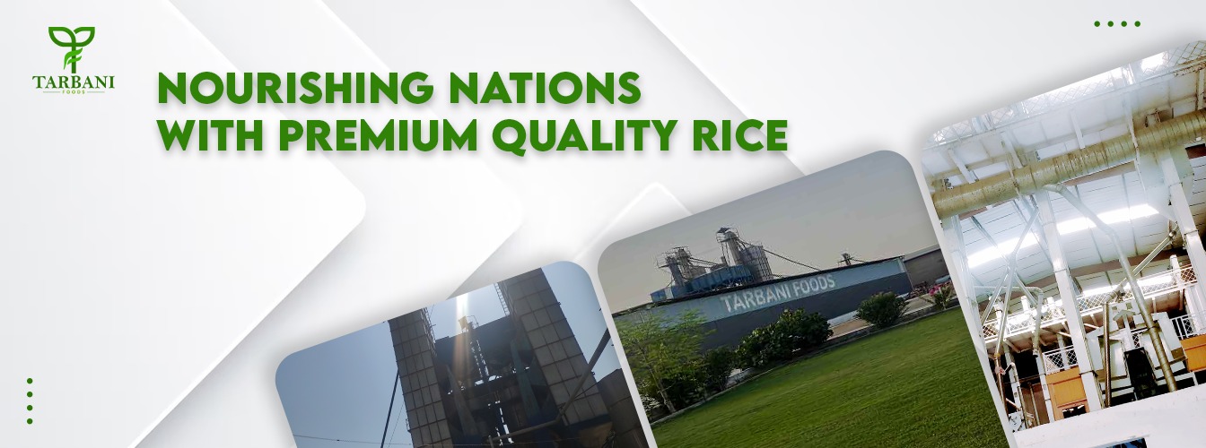 rice suppliers